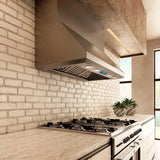 Campana Bajo Alacena Profesional - ELICA - CALABRIA Inoxidable, 42" - 110V