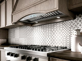Campana Integrada Profesional - ELICA - AREZZO Inoxidable, 46" - 110V