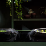 Parrilla de Induccion c/Campana FALMEC QUANTUM PRO EASY Negro, 84cm 220V