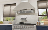 Campana Pared Profesional - TECNOLAM - PWRH48 Inoxidable, 48" - 110V